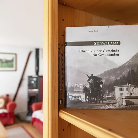 Chesa Dal Luf B6 By Interhome Appartement *