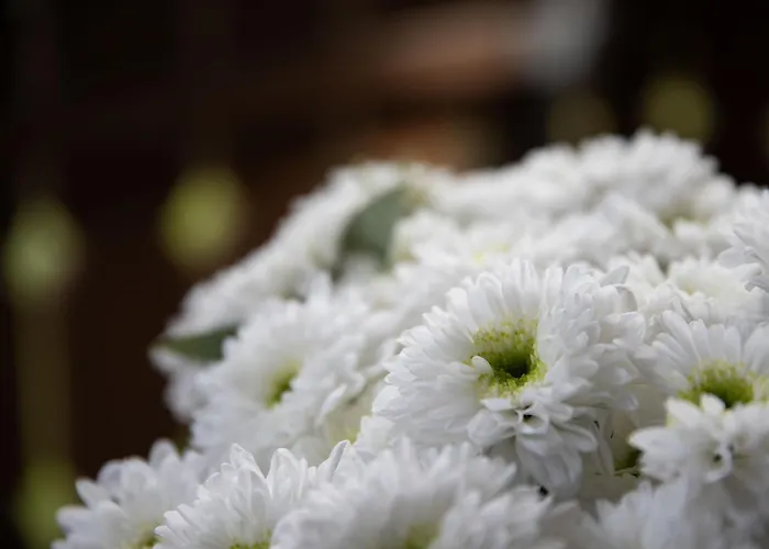 Chesa Dal Luf B6 By Interhome Apartman Silvaplana