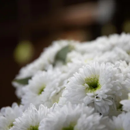 Chesa Dal Luf B6 By Interhome Apartamento Silvaplana